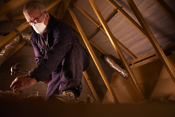 Trusted Fox River Grove, IL Insulation Contractor Experts